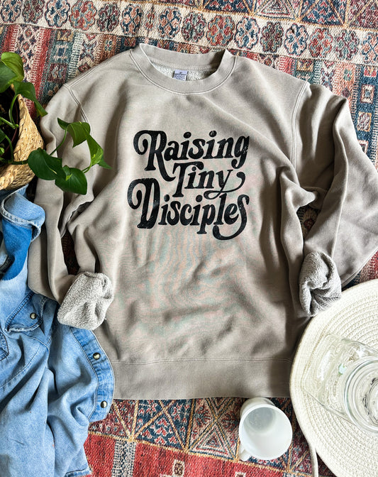 Raising Tiny Disciples Sweatshirt-Stone