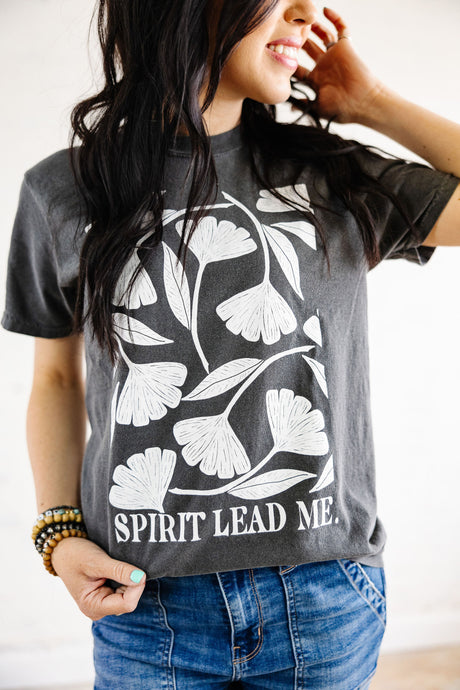 Spirit Lead Me - Ash